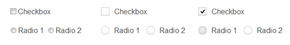 Check-Boxes-and-Radio-Buttons